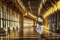 556c18a6-7c5c-45e9-8c54-643cc2062c12