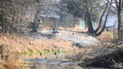 fff23227-b4a4-4afd-a9d8-89bad7765591