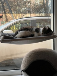 fd5f87a4-972f-4bee-85d3-fe16160da0e4