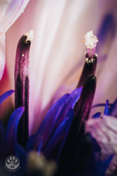 46d1a44e-8251-4ff7-a970-e11060761f56