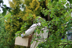 b33f451f-f4ae-4d43-9c92-ed082124c4e5