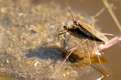 c38b560c-7b07-4336-b63b-8b6baf097e23