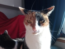 9b7d695e-cab2-4072-8ec0-219e1293ec48