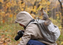 35f082a5-66d0-4a7c-bfc6-1df5034d1f0d