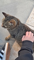 348b9929-b068-4b0b-99c3-d16c5402c80f