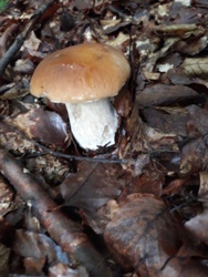 9c46790f-cb10-41e8-8661-1bb28e560a1c