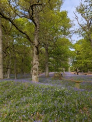 517c08e7-0dbc-4adf-ba37-d22c79d940da