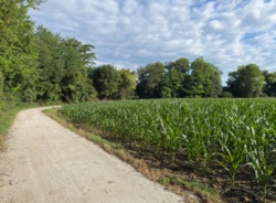 4c8c2cce-4c06-4171-8176-8511f3c18dd5