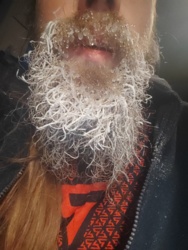 53134425-c77e-4c8b-a475-83eceadc1925