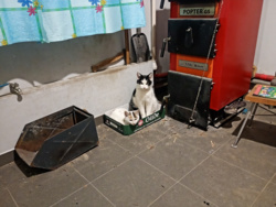 bf4e76f1-cafe-4329-80ae-9fb92060ce83