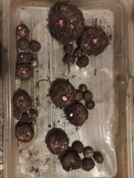 19d182bc-0ca7-4917-9aaa-d315eb6edc77