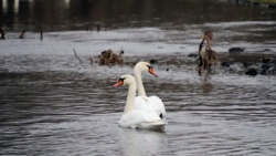 14c71d0f-a524-4675-9a1a-5d5aaa716331