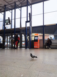 b580bbf5-01e0-4a9c-9b1d-c188cfa02a0a