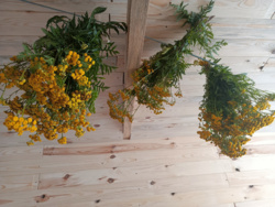 dbde26e4-0b0b-4be7-a52a-207e67b47fcf