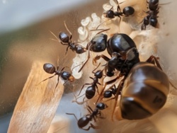 1c06875c-d7f9-4959-a6b0-0ba4b202d46d