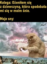 c6498bb4-fb1c-48b5-94d9-913538bf09eb