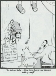 de45320e-3be8-4ddb-a22a-7ec79f7d7ab4