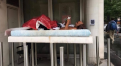 2a5c78d4-a8da-44c9-ac7e-eba3c56c9cfb