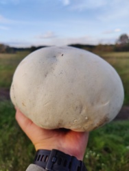 afe858d1-691e-4417-aa44-18de98baf9f4