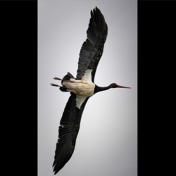 9dcdddd7-ad05-4fdb-aadf-5374f0e85f82