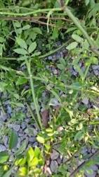 63d9c23e-afc2-4cad-9089-c78c61d69b44