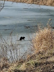 668e3555-d5b9-4359-b781-1305491f9e64