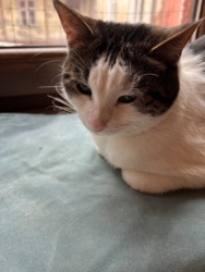 254f45e6-e8a7-4949-a2ad-4f348450ebfe