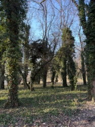 3d11a5da-7e50-4f3a-925c-db7e7a49066f