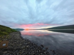 0f0c0895-5bdb-4827-9d10-d31565ad7319