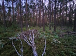 f479a184-05aa-488b-8e0b-d160d2c98966