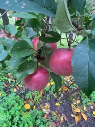 71cbcbd0-9f9d-4177-8a46-2fad887bcff9