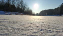 a267d305-509b-4fc4-b4fd-4a5a56c0e09d