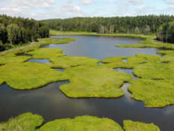 1cc1ea19-8a43-448f-b97d-5e76fecef33e