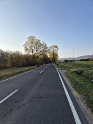 0e030390-4ed3-4b36-bdcd-b174beb3a980