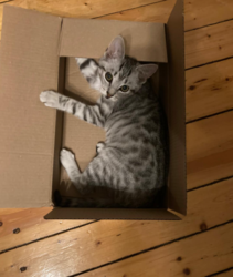 f8b56225-5aa1-47f7-aa8f-b4fbc072f68b