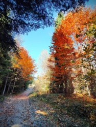 38fdcb20-6988-47c3-88d6-70bd099e1553