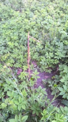 c87becfd-b2c6-463b-b2cf-1f7008ae30ea