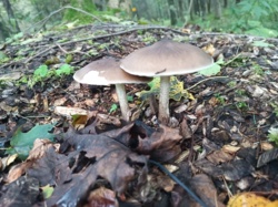 3b283c8b-fa87-4a01-8b2e-c20975873c67