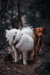 82f86f2e-a077-437e-9f43-77c894be7340