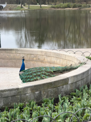 bedd8a50-a262-4bba-9332-7f67b2097e51