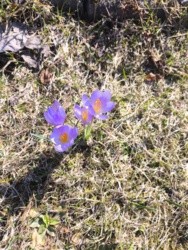 3caaecb6-6172-4934-be78-8605808beb5f