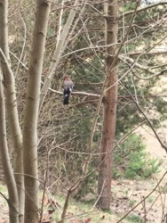 7ebce872-aa2d-4919-a47d-6f3aaa40bd5b