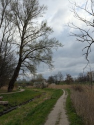 70f445d4-8dfe-46a3-927a-45fb9398f367