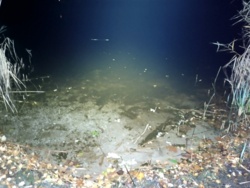 ca2ba07e-5035-4981-9ccb-b17d37b4593d