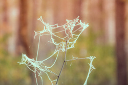 9e12575e-ee9c-4789-9548-42f3892be19e