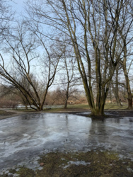 4636e562-400f-4383-8ce9-22de27fb9aaa