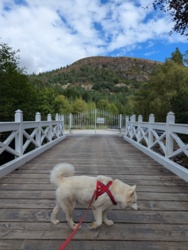 5a57a985-f8d8-47c5-9863-8c881e2fc307