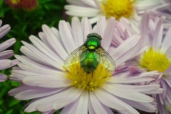 6a185b8e-8c54-4242-9cfc-0893ed624b51