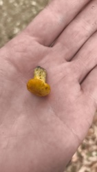 19e8a010-599a-44e0-99b7-edcb96e29839