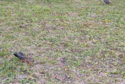 79b99149-dedf-46eb-a5d4-e676453c19a1